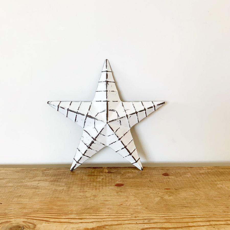 White Ridged Metal Barn star