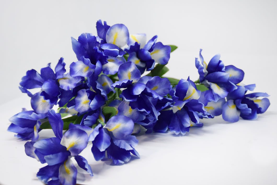 Iris Bush Blue