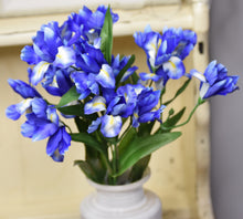 Load image into Gallery viewer, Iris Bush Blue
