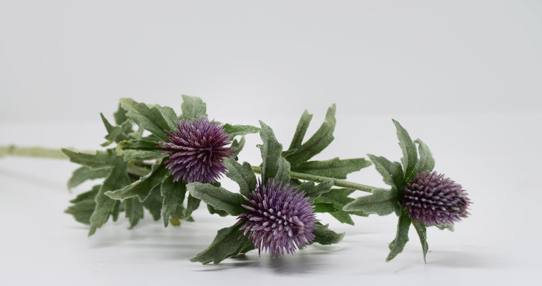 Purple Thistle Spray